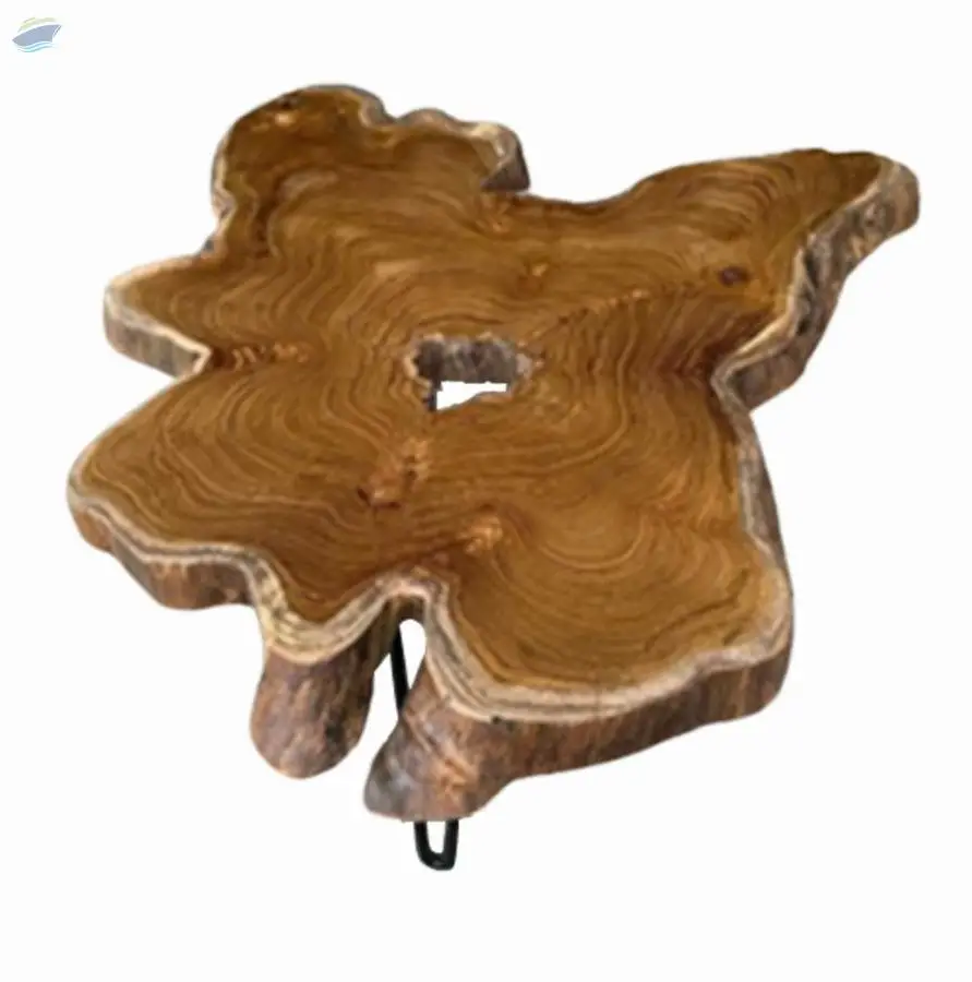 Star Teak Root With 3 Black Iron Legs