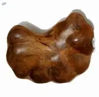 Best Quality Teak Wood Shell Plate