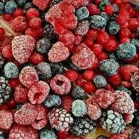 Frozen Fruits