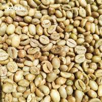 Java Robusta Grade 3 Green Coffee Beans