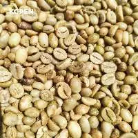 Java Robusta Grade 3 Green Coffee Beans