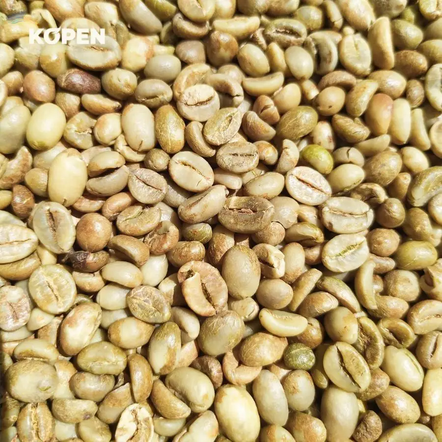 Java Robusta Grade 3 Green Coffee Beans
