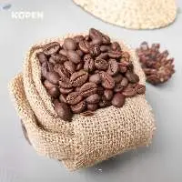 Indonesian Java Robusta Roasted Beans