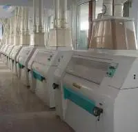 All Purpose Flour