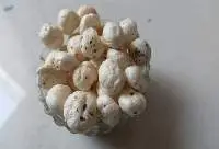Makhana (Fox Nuts)