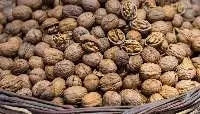 walnuts shelled & unshelled