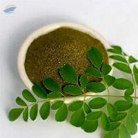 Moringa Powder