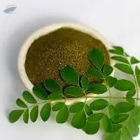 Moringa Powder