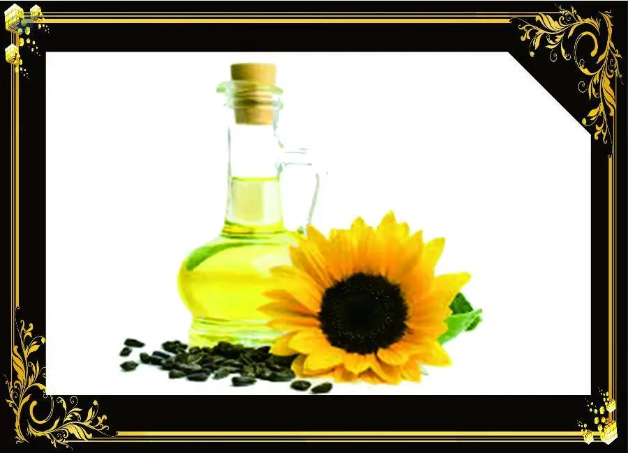 Sunflower Oil