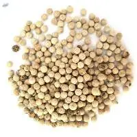 White Pepper