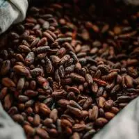 Cocoa / Cacao