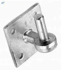 Square / Round Plates