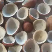 Dried Coconut Copra
