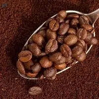 Green Coffee Beans and Roasted