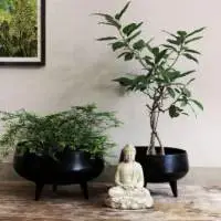 Black Tub Planter With Legs