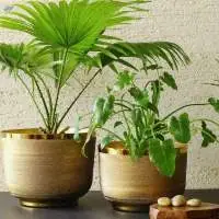 Brass Ridged Planter