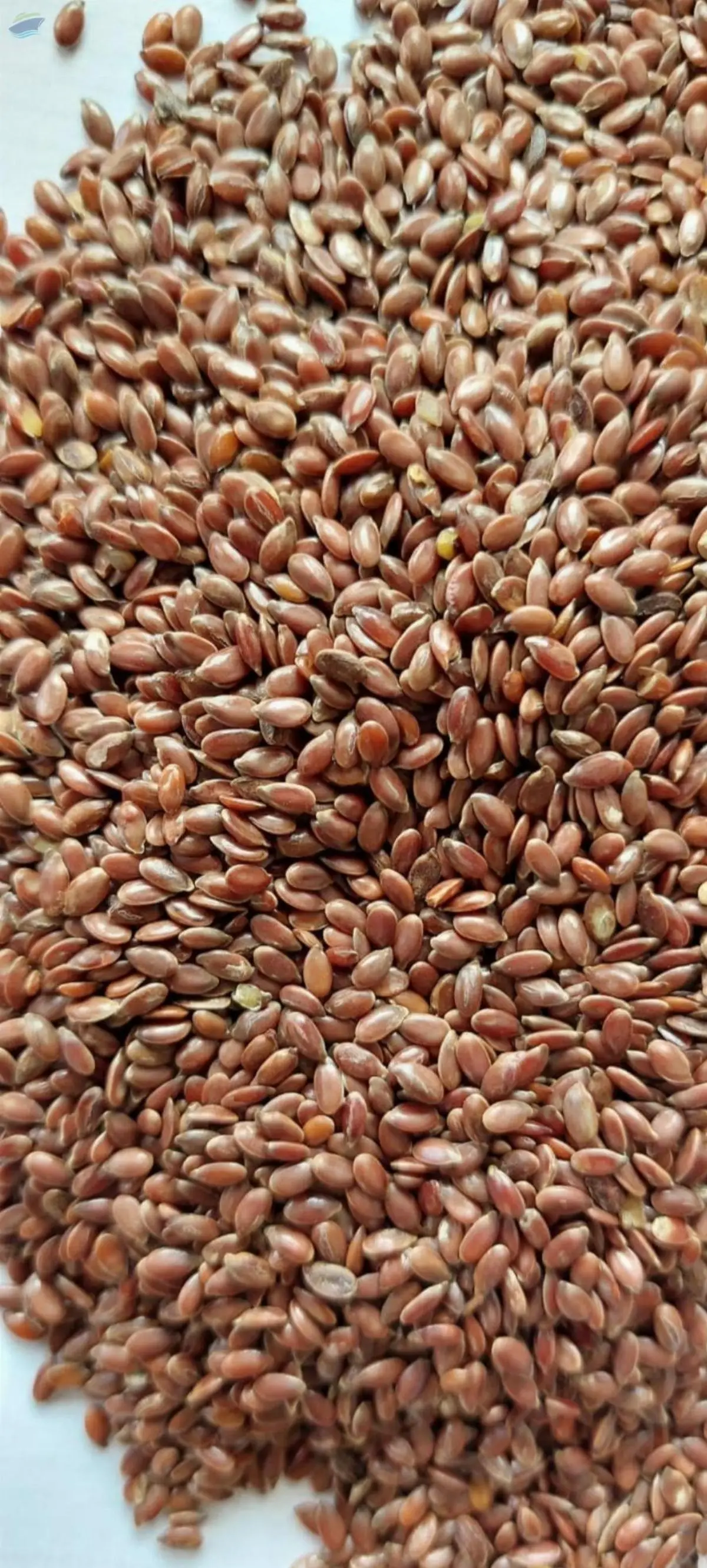 Flaxseed