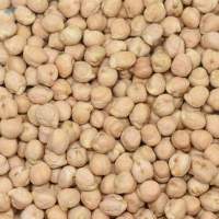Chickpeas