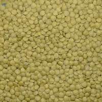 Green Lentils