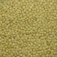 Green Lentils