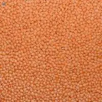 Red Lentils