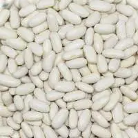 White Beans (Alubia)