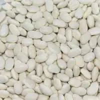 White Beans (Dermason)