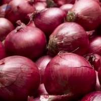 Red Onion