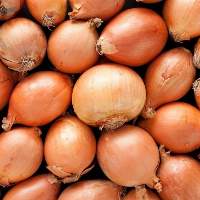 Yellow Onion