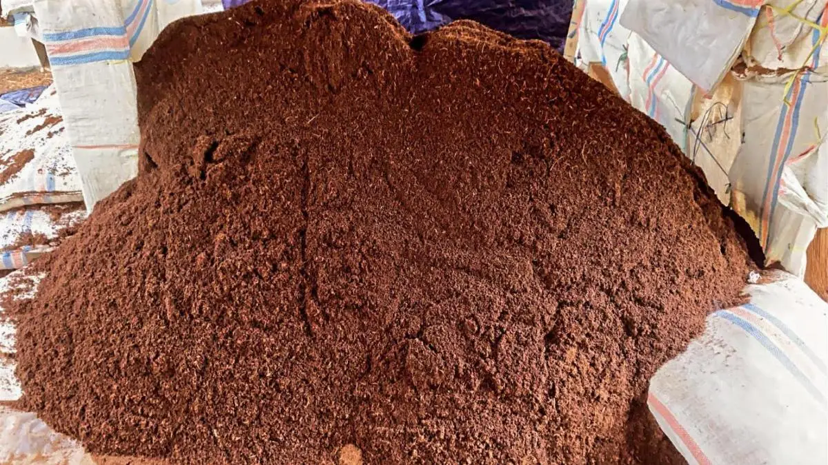 Coco Peat Low EC