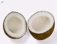 Coconut Dried Copra