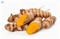 Turmeric