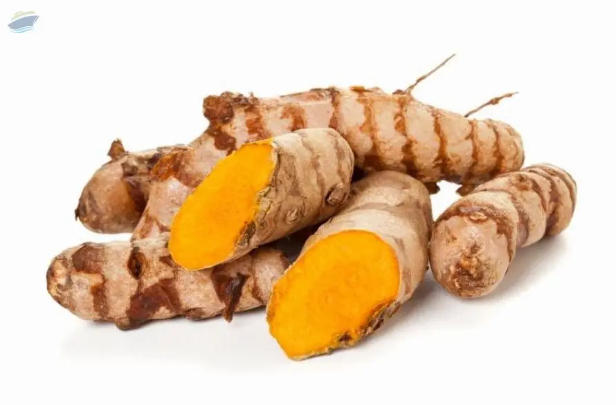 Turmeric