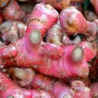 Red Ginger