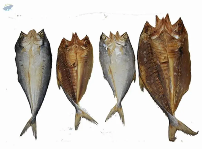 Salted Fish