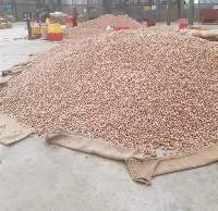 Whole Betel Nut 95+