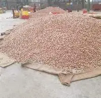 Whole Betel Nut 95+