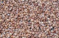 Split Betel Nut 90-55