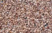 Split Betel Nut 90-55