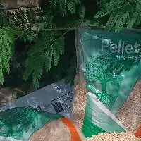 Wood Pellet  EnPlus A1