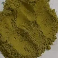 Organic Costus Igneous