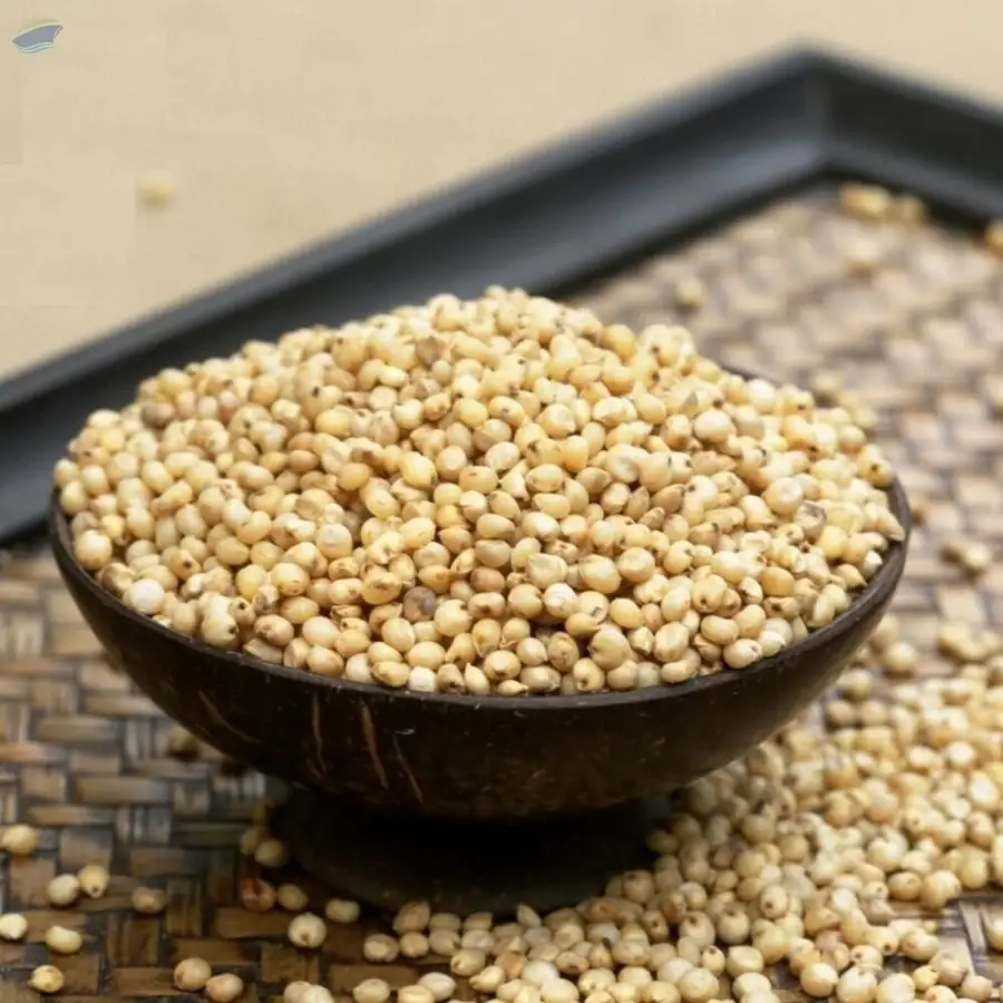 Himalayan Sorghum Millets