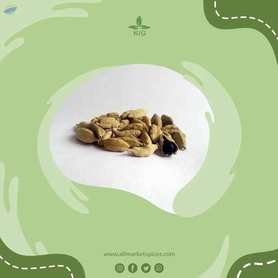 Cardamom
