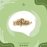 Coriander