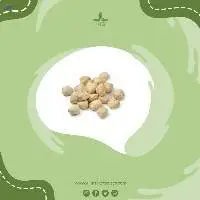 Candlenut