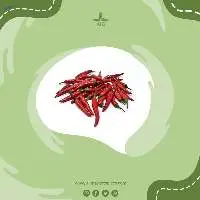 Chilli