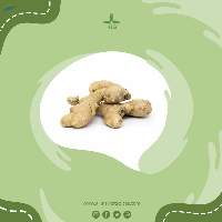 White Ginger