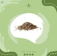 White Caraway