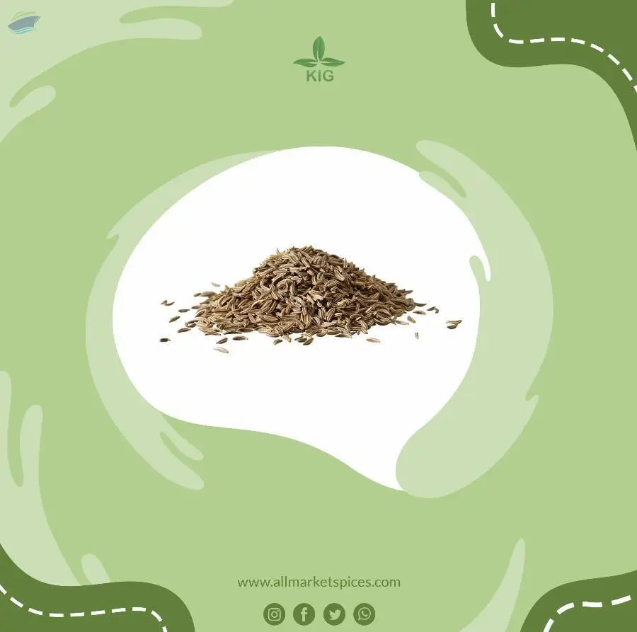 White Caraway