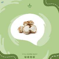 Aromatic Ginger